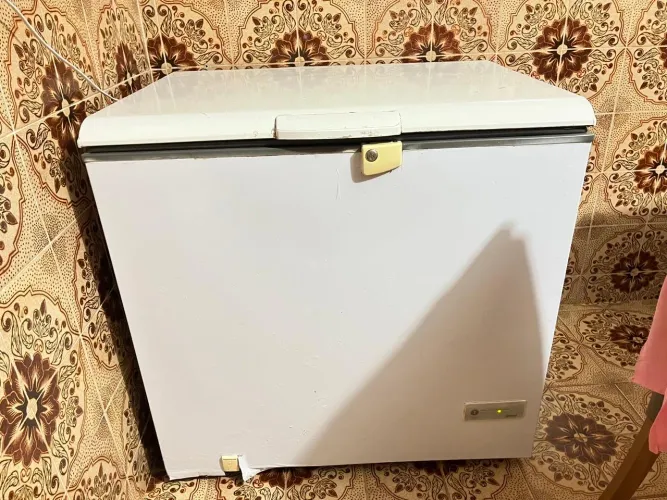 Freezer cônsul 