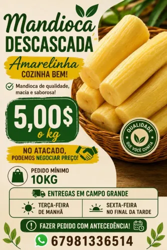 ? MANDIOCA DESCASADA ? "Amarelinha/Cozinha bem" 5$ kg