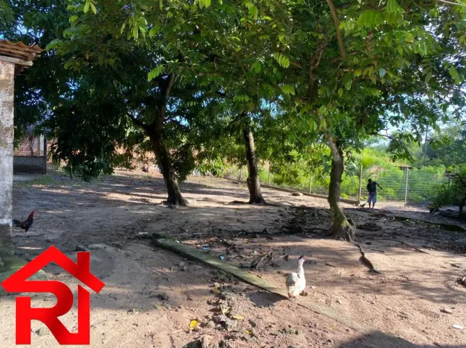 TERRENO COMERCIAL em São Luís - MA, Tibiri