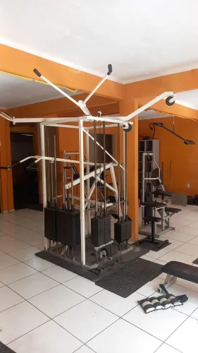 Aparelho de musculacao Apolo 