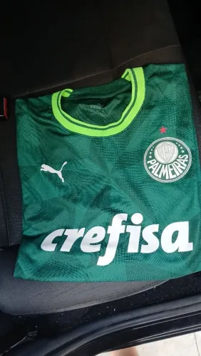 Camiseta palmeiras 2023 4XL