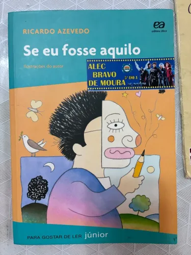Se eu fosse aquilo - Livro usado