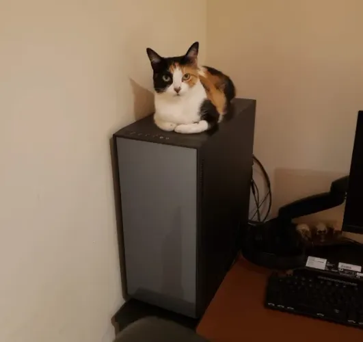 Computador Gamer / Trabalho em Perfeito Estado