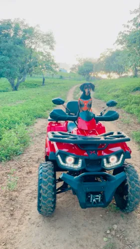 Quadriciclo ATV 200cc