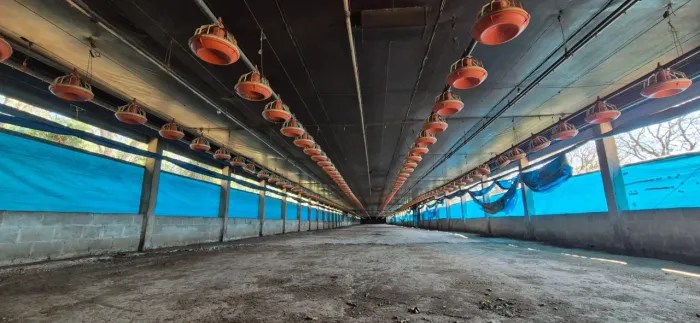 Imóvel para venda possui 400 metros quadrados com 3 quartos