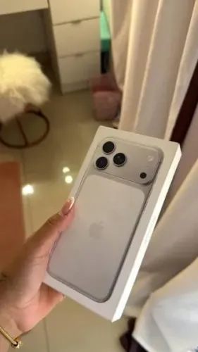 17 PRO Max Silver 