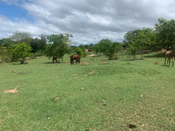 Chácaras de 20.000m² com nascente, Jaboticatubas(Temos varias opções).
