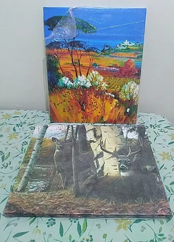 Quadro decoração