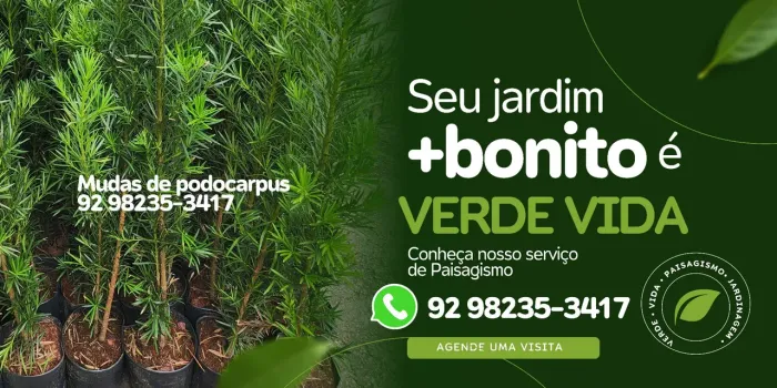 Grama Esmeralda e Jardim