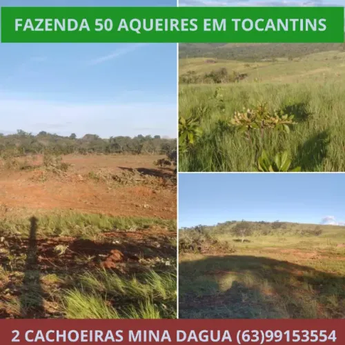 Terra, Lavoura, Platanção, Soja, Cana, Canavial, Cercada, Chacara, Chácara, Roça Barata