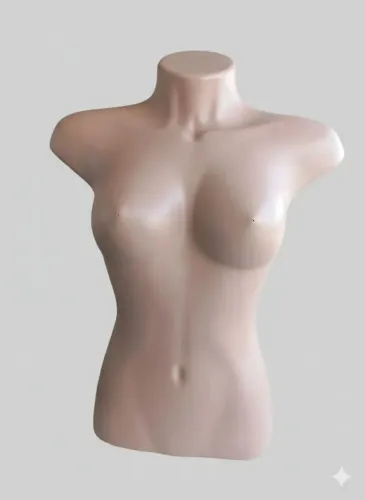 Manequim busto
