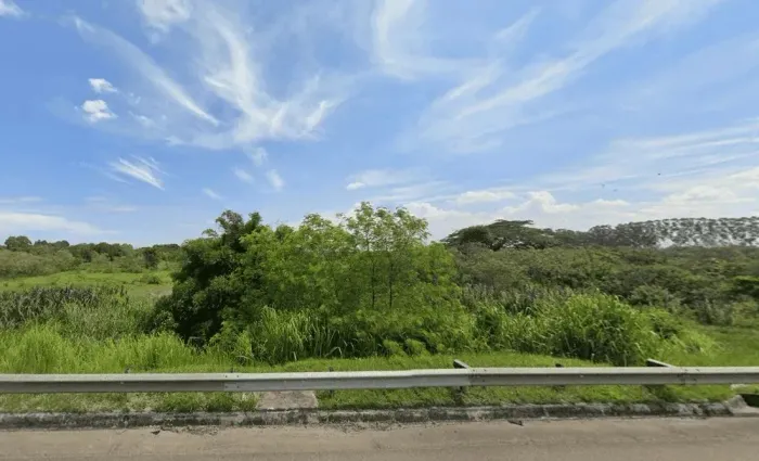 Lote/Terreno para venda possui 100000 metros quadrados