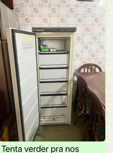 Freezer vertical prosdocimo 220L stock 110v