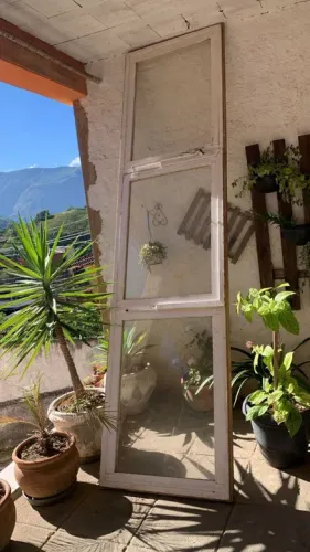 Janela vasculhando madeira do campo.