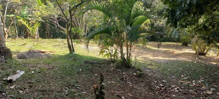 Chacrinha Ana Dias próximo praia Peruíbe SP
