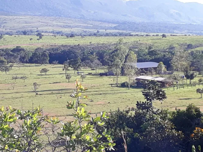 Fazenda de arrendamento pra gado ou vende, 50.00 bezerros ou boi