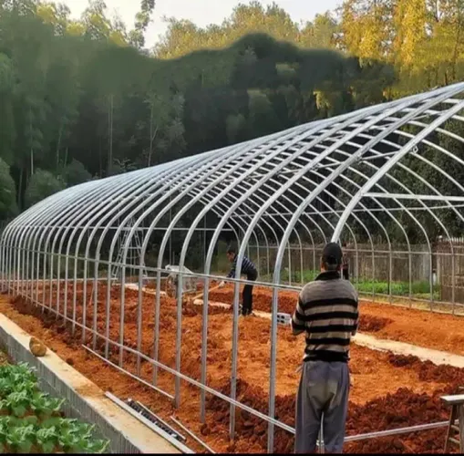 Estufa para cultivo agrícola