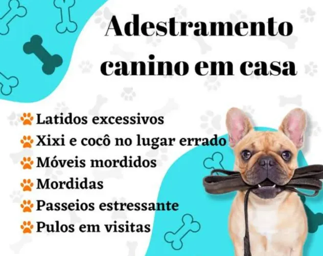 Adestrador de cães