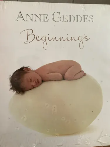 Livro Fotografia Anne Geddes - Beginnigs
