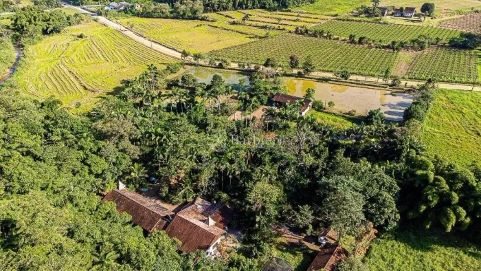 Sítio com 5 dormitórios à venda, 900 m² por R$ 1.900.000 - São Pedro Novo - Rodeio/SC