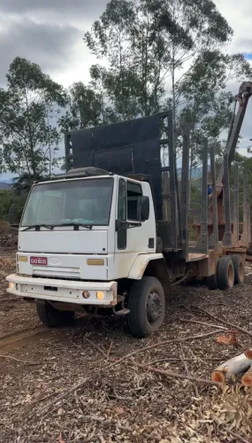 Ford carga 2422 com grua florestal