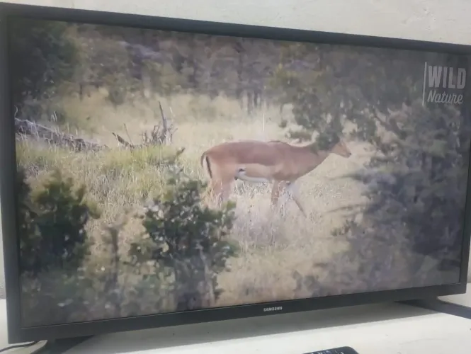 Tv 32 Samsung 