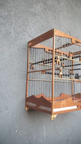 Gaiola de coleira 150,00