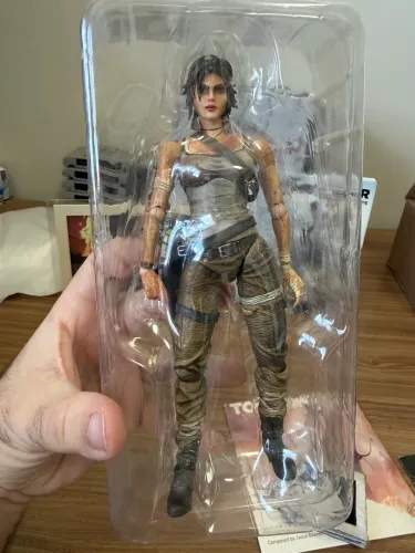 Tomb raider edição de colecionador Survival Kit