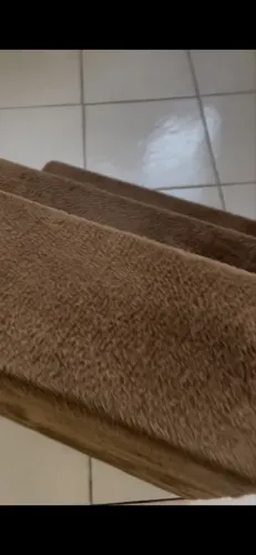 Escada para pet