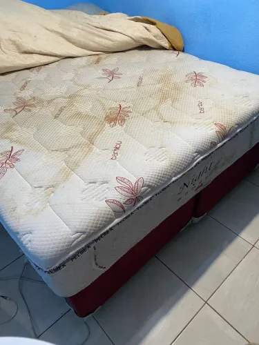 Box completo Queen