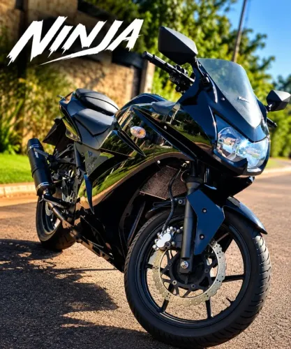 Kawasaki Ninja 250R - 2011