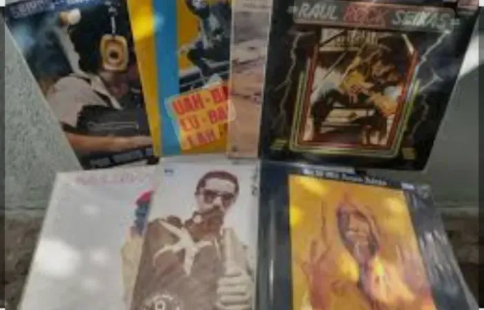 Discografia completa Raul Seixas em Vinil