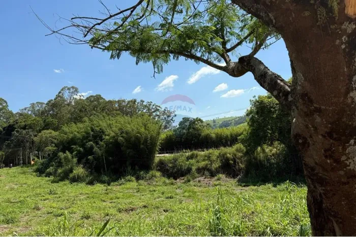 Lote à venda com 1000 metros em Tuiuti