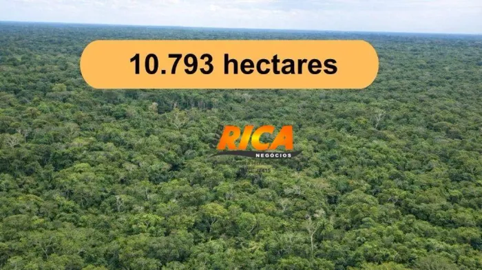 Vende-se Fazenda com 10.793 hectares na zona rural de Autazes/AM