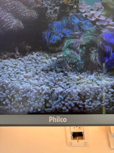 Smart Tv Philco 55?p