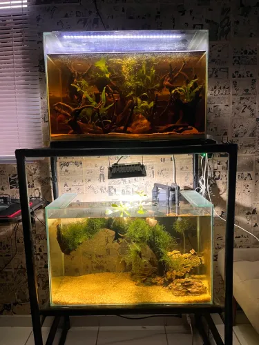 AQUARIOS DE 72L COMPLETO