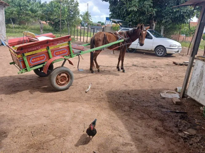 Carroça com cavalo e arreios 