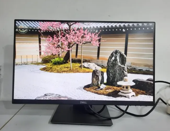 Monitor Dell P2219H 22 Polegadas IPS Full HD HDMI DisplayPort VGA