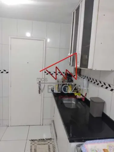 Apartamento : Padrão / Residencial / Catete