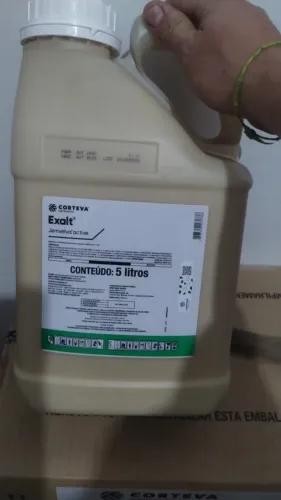 veneno exalt original inseticida caixa com 4 bombas de 5 litros