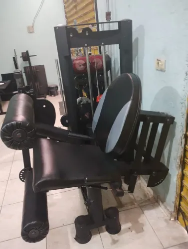Cadeira extensora e flexora ( entrego)