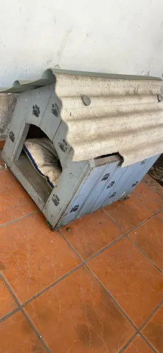 Doação - casinha de cachorro