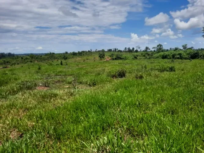 Terra na ramal Campo Novo linha 7