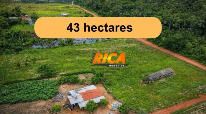 Sítio à venda, com 43 hectares na zona rural - Nova Mamoré/RO