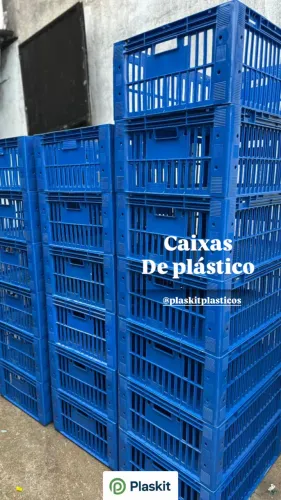 Galeia grande cada 95,00