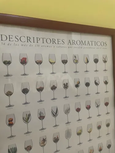 Quadro decorativo VINHOS 