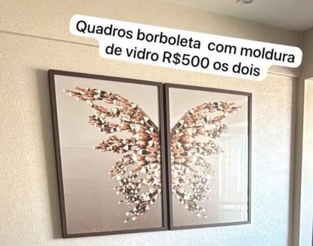 Quadro borboleta com molduras