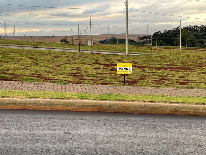 Lote Bella Vita - promoção até domingo!