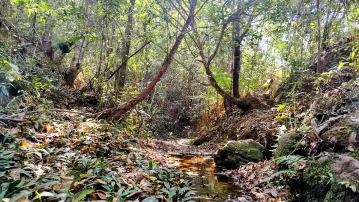 Chácara com 2 Hectares localizada dentro de um vale maravilhoso com córrego