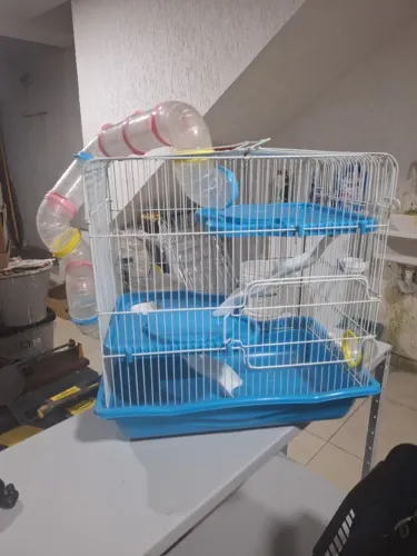 Gaiola hamster